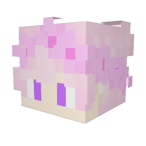 KittenMom64 Minecraft avatar head, 3D render