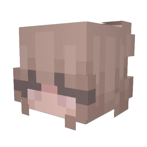 KittenVJH Minecraft avatar head, 3D render