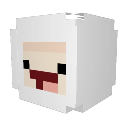 KittenWuver Minecraft avatar head, 3D render