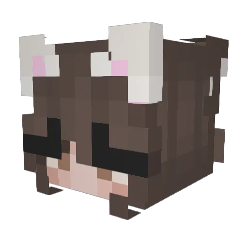 Kitten_0609 Minecraft avatar head, 3D render