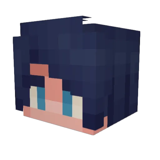 Kittenlord_ Minecraft avatar head, 3D render