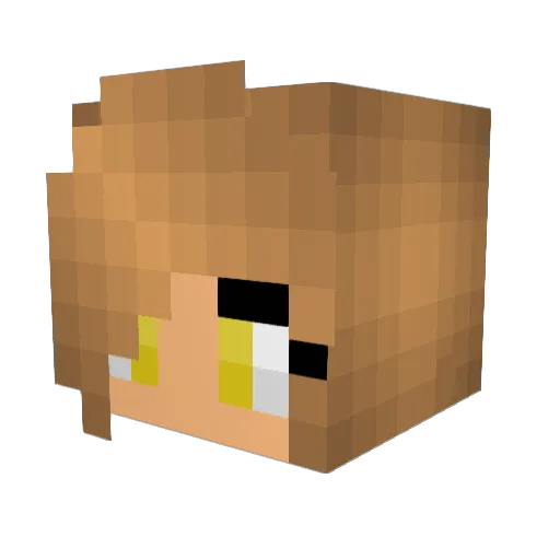 Kittenlover9563 Minecraft avatar head, 3D render