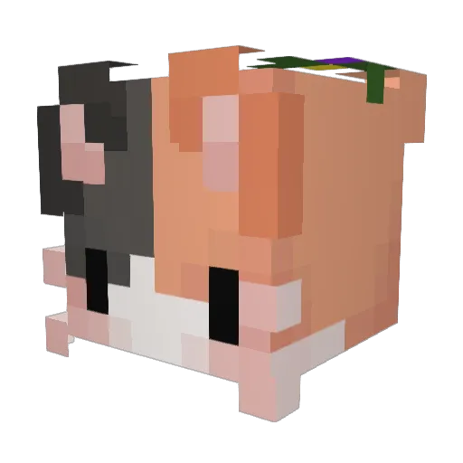 Kittens_Playz Minecraft avatar head, 3D render