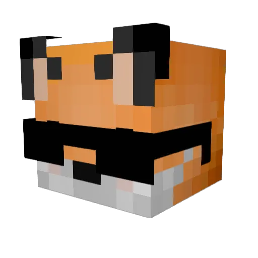 Kitter3103 Minecraft avatar head, 3D render
