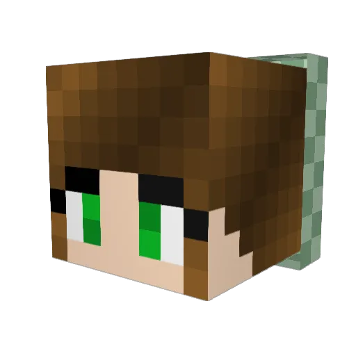 Kittihawk Minecraft avatar head, 3D render