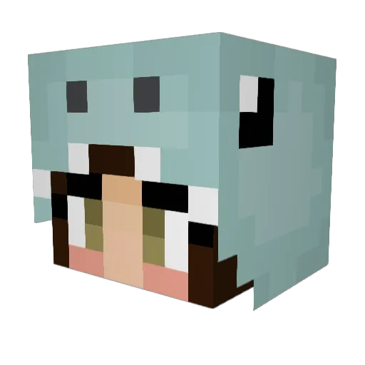 Kittiot_ Minecraft avatar head, 3D render