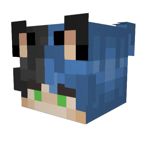 Kitty1352 Minecraft avatar head, 3D render