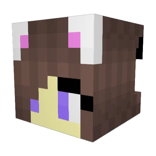 Kitty1423 Minecraft avatar head, 3D render