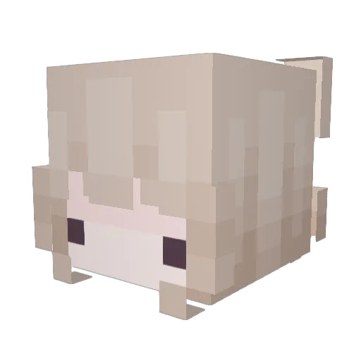 KittyAza Minecraft avatar head, 3D render