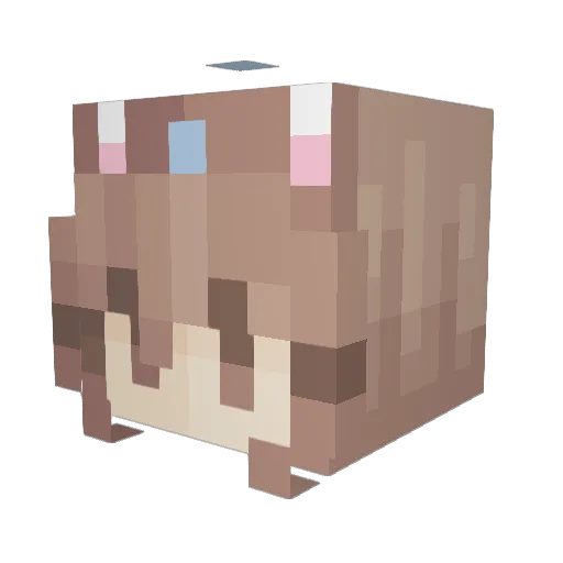 KittyBala Minecraft avatar head, 3D render