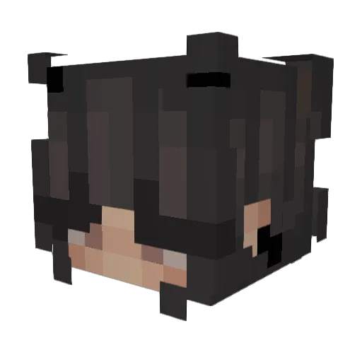 KittyCake7487 Minecraft avatar head, 3D render