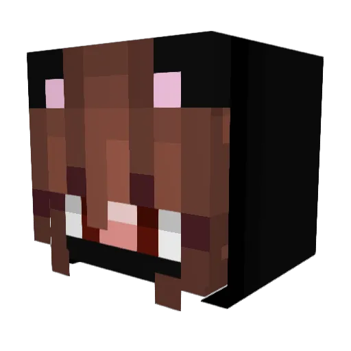 KittyCat114 Minecraft avatar head, 3D render