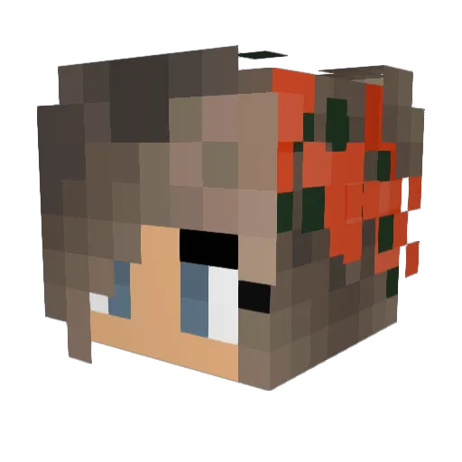 KittyCat1211 Minecraft avatar head, 3D render