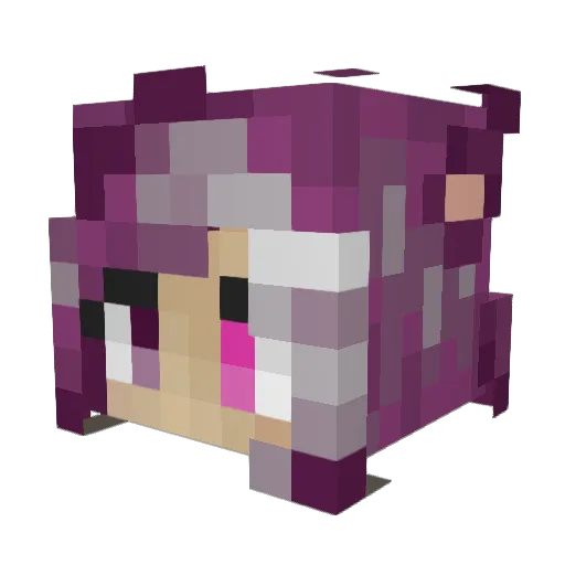 KittyCatKilala Minecraft avatar head, 3D render