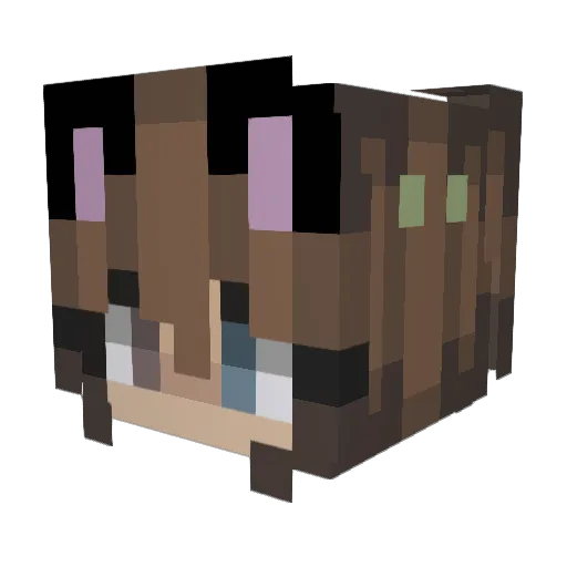 KittyCookie447 Minecraft avatar head, 3D render