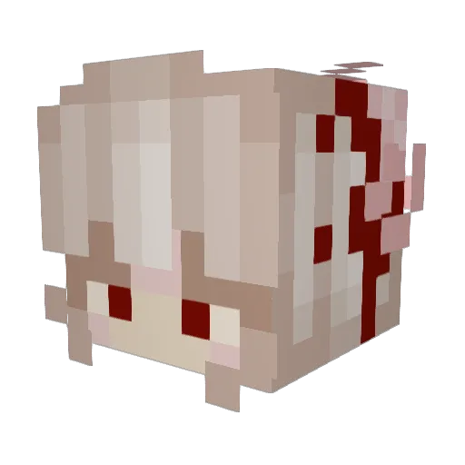 KittyCoolness Minecraft avatar head, 3D render