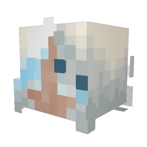 KittyDragonz Minecraft avatar head, 3D render