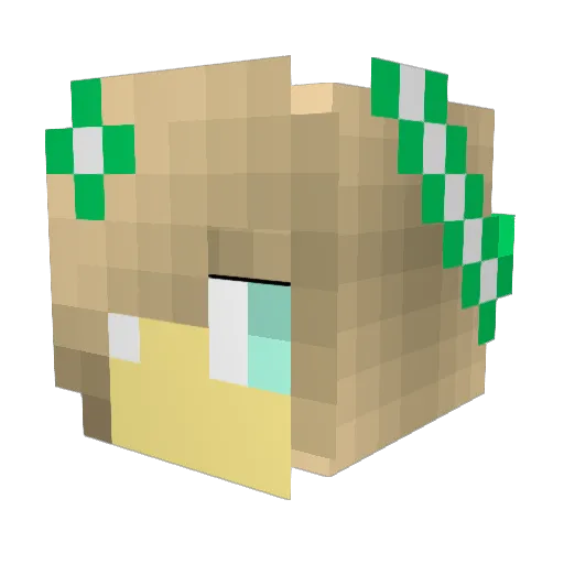 KittyForeverx Minecraft avatar head, 3D render