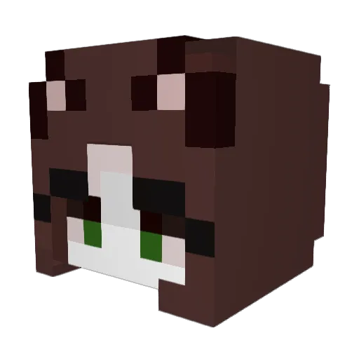 KittyGirlNmbrWon Minecraft avatar head, 3D render