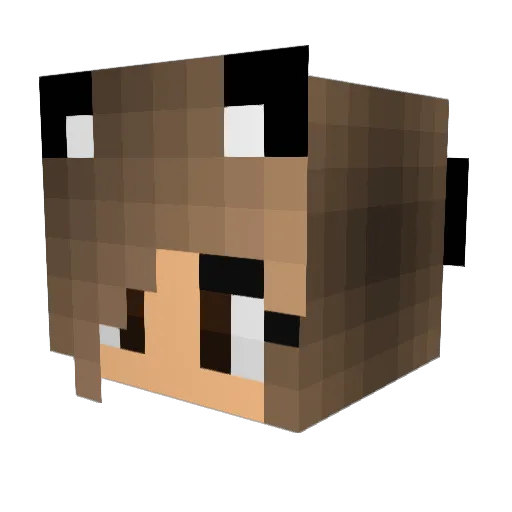KittyHighFive Minecraft avatar head, 3D render