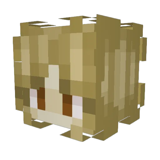 KittyMaster0105 Minecraft avatar head, 3D render