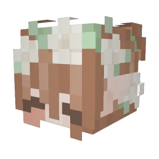 KittyMeow09 Minecraft avatar head, 3D render