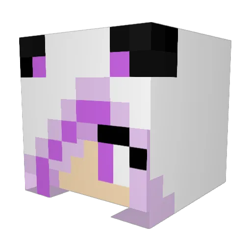 KittyMittens52 Minecraft avatar head, 3D render