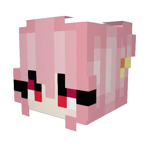 KittyPanda1357 Minecraft avatar head, 3D render