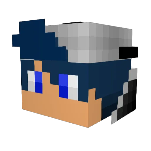 KittyPaws573 Minecraft avatar head, 3D render
