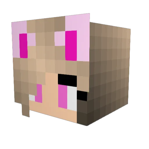 KittyPrincess8 Minecraft avatar head, 3D render