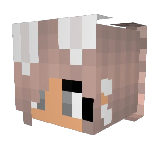 KittyRose_ Minecraft avatar head, 3D render