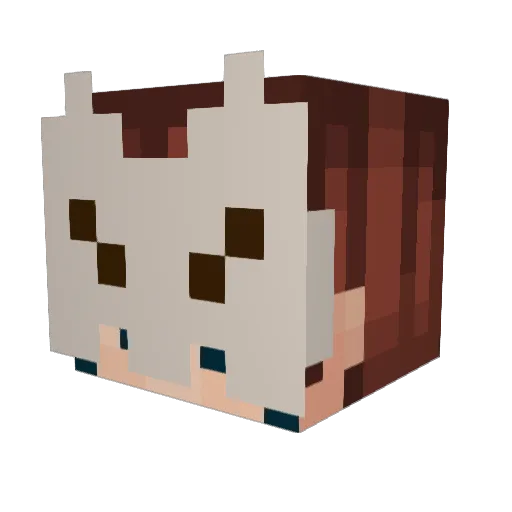 KittyRune Minecraft avatar head, 3D render