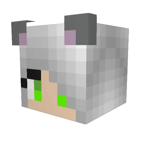 KittySushii Minecraft avatar head, 3D render