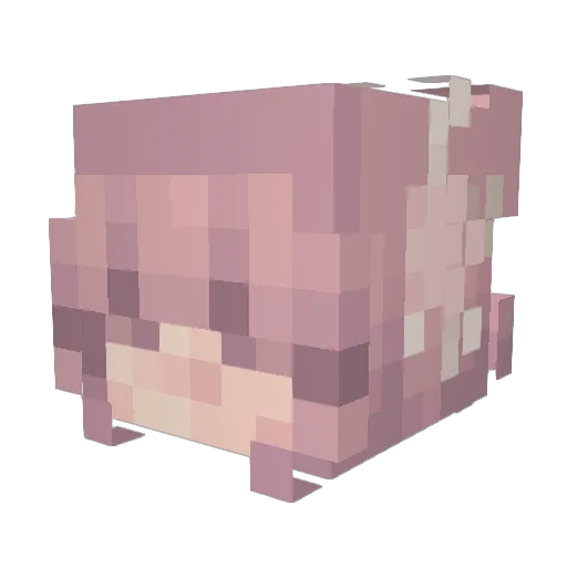 KittyVelours Minecraft avatar head, 3D render