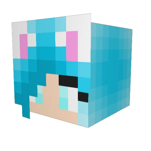KittyWinter Minecraft avatar head, 3D render