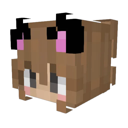Kitty_9743 Minecraft avatar head, 3D render