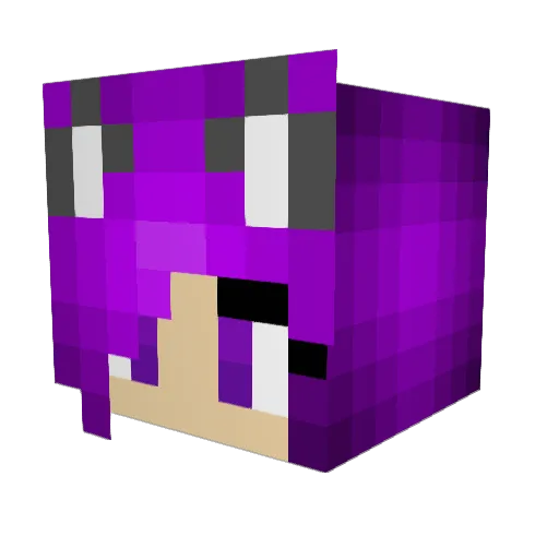 Kitty_Gamer1234 Minecraft avatar head, 3D render