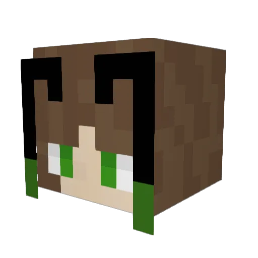 Kitty_Ninja22 Minecraft avatar head, 3D render