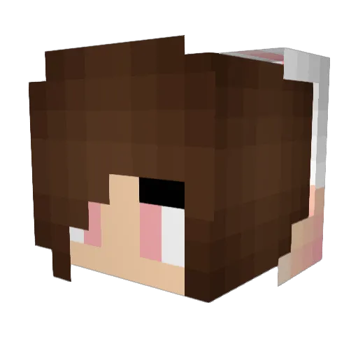 Kitty_katz123 Minecraft avatar head, 3D render