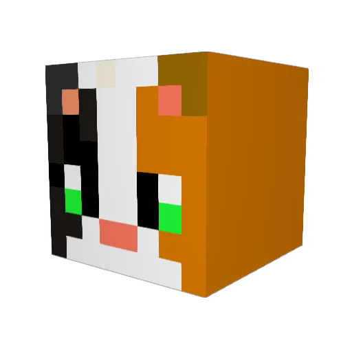 Kitty_meaw2 Minecraft avatar head, 3D render