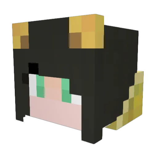 Kittycat893 Minecraft avatar head, 3D render