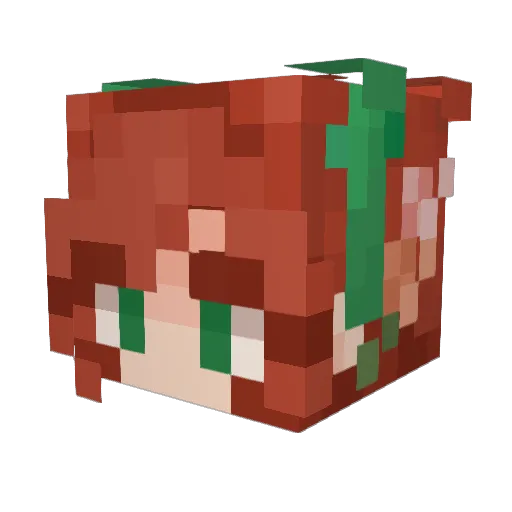 KittycatStorm Minecraft avatar head, 3D render