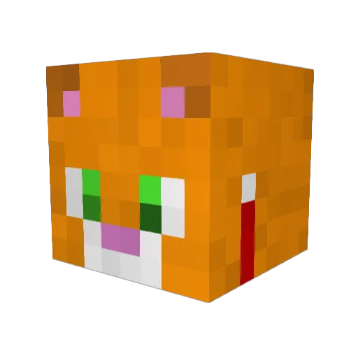 Kittycatairman Minecraft avatar head, 3D render