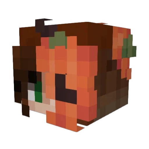 Kittycatplay02 Minecraft avatar head, 3D render