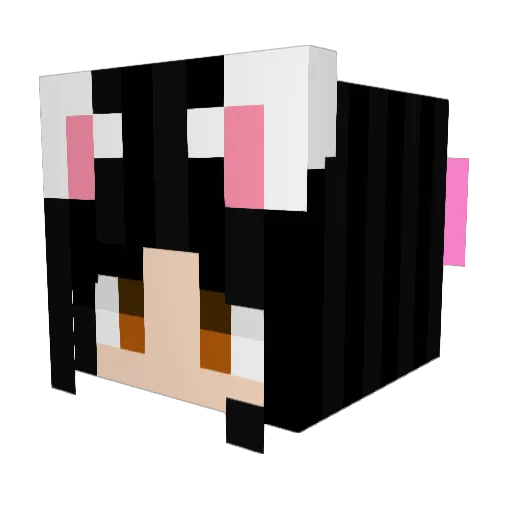 Kittychan143 Minecraft avatar head, 3D render