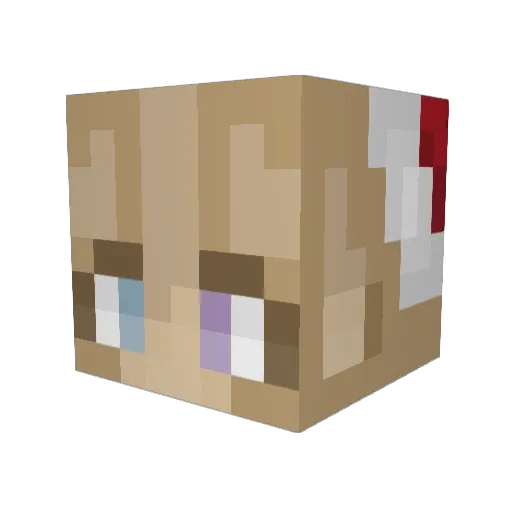 Kittycorn31 Minecraft avatar head, 3D render