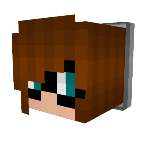 Kittyfuss Minecraft avatar head, 3D render