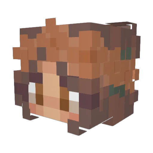 Kittykat49 Minecraft avatar head, 3D render