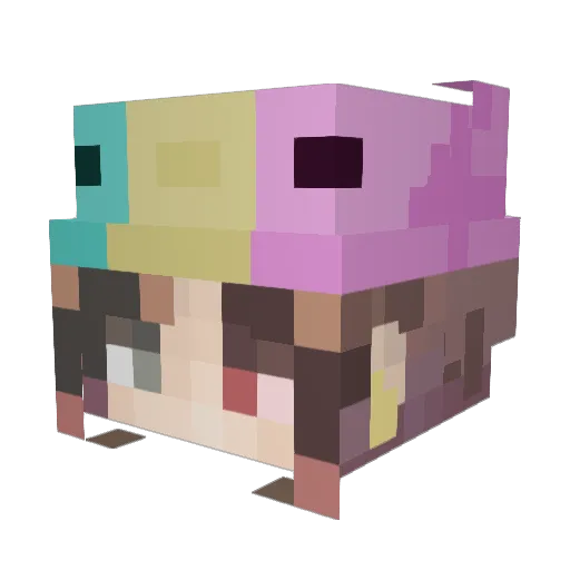 KittykatChicken Minecraft avatar head, 3D render