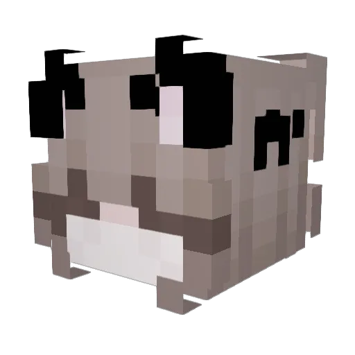 Kittyo_Sora Minecraft avatar head, 3D render
